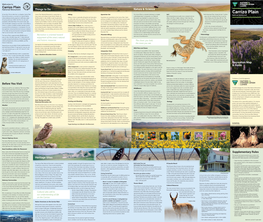 Carrizo Plain National Monument Map and Guide