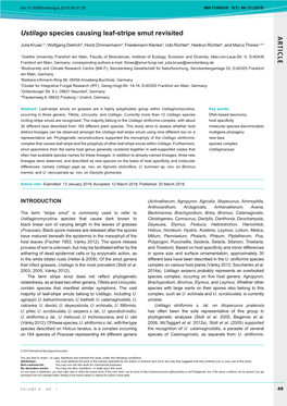 AR TICLE Ustilago Species Causing Leaf-Stripe Smut Revisited