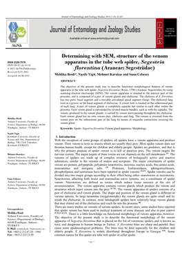 Determining with SEM, Structure of the Venom Apparatus in the Tube Web