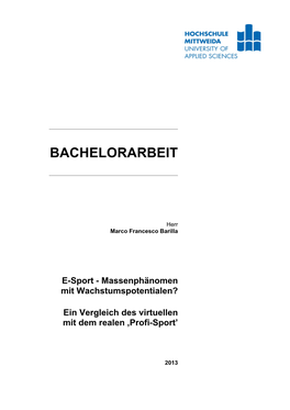 Bachelorarbeit Marco Barilla