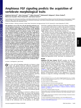 Amphioxus FGF Signaling Predicts the Acquisition of Vertebrate Morphological Traits