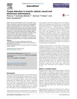 Target Detection in Insects: Optical, Neural and Behavioral Optimizations