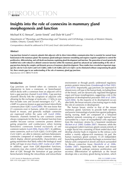 Insights Into the Role of Connexins in Mammary Gland Morphogenesis and Function