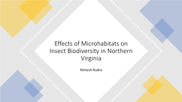 Effect of Microhabitats on Insect Biodiversity