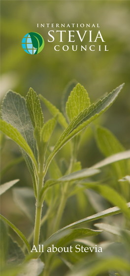 About Stevia What Is Stevia?