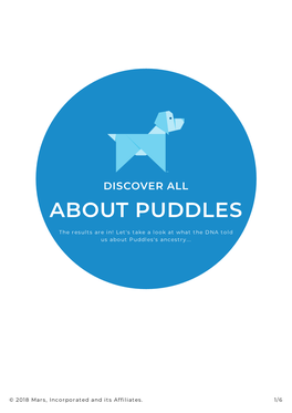 About Puddles