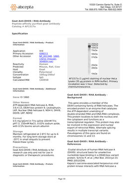 Goat Anti-DHX9 / RHA Antibody Peptide-Affinity Purified Goat Antibody Catalog # Af1317a