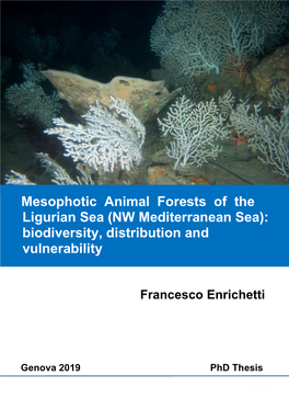 Mesophotic Animal Forests of the Ligurian Sea (NW Mediterranean Sea): Biodiversity, Distribution and Vulnerability