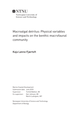 Macroalgal Detritus: Physical Variables and Impacts on the Benthic Macrofaunal Community