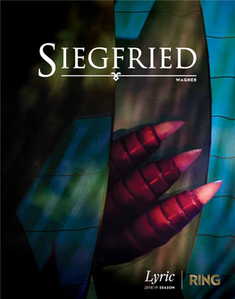 Siegfried Program .Pdf