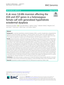 Α De Novo 3.8-Mb Inversion Affecting the EDA and XIST Genes in A