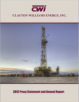 Clayton Williams Energy, Inc. Company Profile