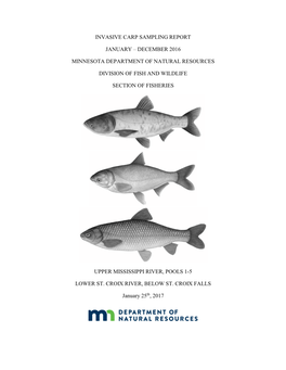 Minnesota Department of Natural Resources Invasive Carp Sampling Report