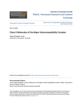 Class II Molecules of the Major Histocompatibility Complex