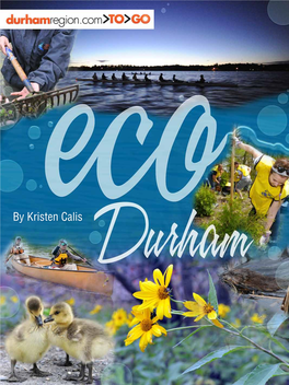 By Kristen Calis Eco Durham Contents