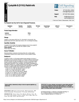 43603 Cyclophilin B (D1V5J) Rabbit Mab