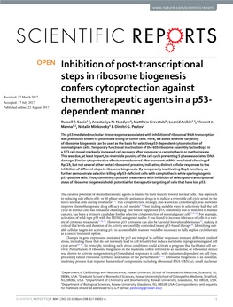 Inhibition of Post-Transcriptional Steps in Ribosome Biogenesis Confers