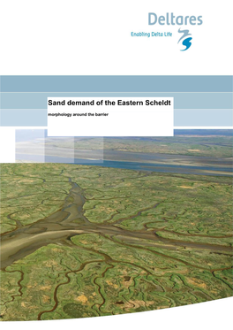 Sand Demand of the Eastern Scheldt Morphology Around the Barrier