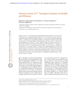 Primary Active Ca2+ Transport Systems in Health and Disease