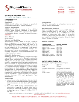 UBE2E3 (UBCH9) Sirna Set I Sirna Duplexes Targeted Against Three Exon Regions