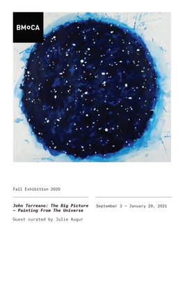 John Torreano: the Big Picture September 3 — January 29, 2021 — Painting from the Universe