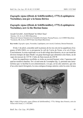 Eugraphe Sigma ([Denis & Schiffermüller], 1775) (Lepidoptera