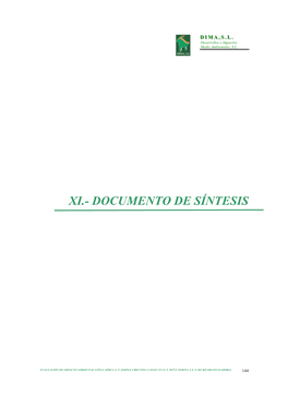 Xi.- Documento De Síntesis