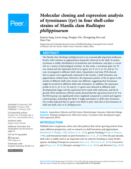 In Four Shell-Color Strains of Manila Clam Ruditapes Philippinarum