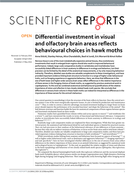 Differential Investment in Visual and Olfactory Brain Areas Reflects Behavioural Choices in Hawk Moths