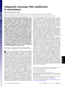 Subgenomic Messenger RNA Amplification in Coronaviruses