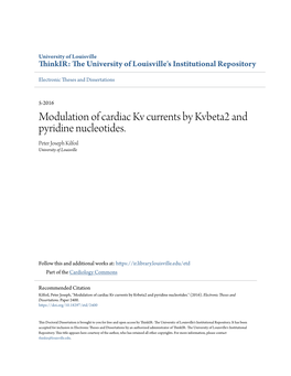 Modulation of Cardiac Kv Currents by Kvbeta2 and Pyridine Nucleotides. Peter Joseph Kilfoil University of Louisville