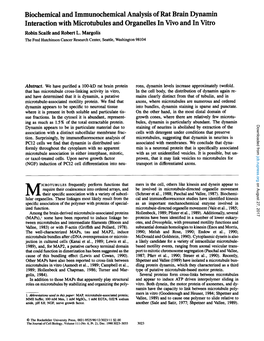 Biochemical and Immunochemical Analysis of Rat Brain Dynamin Interaction with Microtubules and Organelles in Vivo and in Vitro Robin Scaife and Robert L