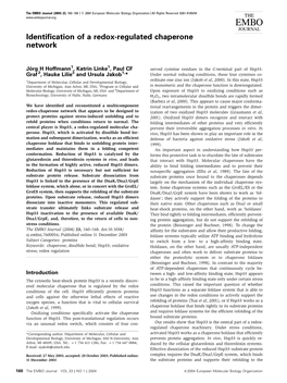 Identification of a Redoxregulated Chaperone Network