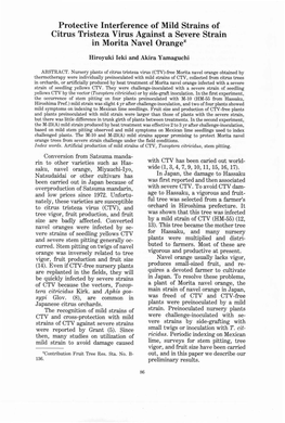 Protective Interference of Mild Strains of Citrus Tristeza Virus Against a Severe Strain in Morita Navel Orangez