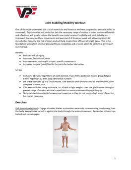 Joint Stability/Mobility Workout Exercises