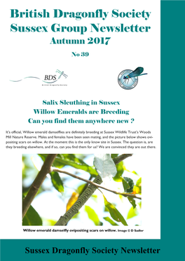British Dragonfly Society Sussex Group Newsletter Autumn 2017