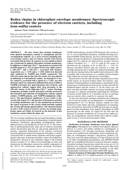 Redox Chains in Chloroplast Envelope Membranes