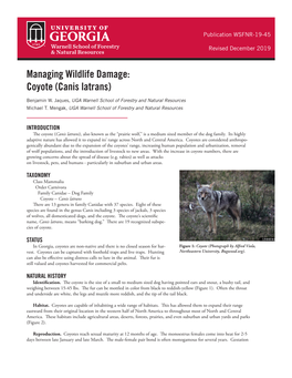 Managing Wildlife Damage: Coyote (Canis Latrans)