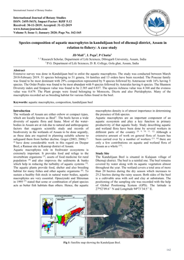 Species Composition of Aquatic Macrophytes in Kandulijaan Beel of Dhemaji District, Assam in Relation to Fishery: a Case Study