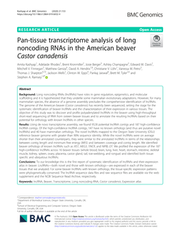 Pan-Tissue Transcriptome Analysis of Long Noncoding Rnas in the American Beaver Castor Canadensis
