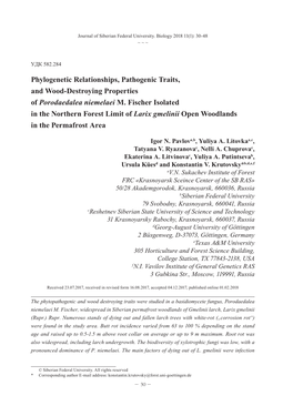 Phylogenetic Relationships, Pathogenic Traits, and Wood-Destroying Properties of Porodaedalea Niemelaei M
