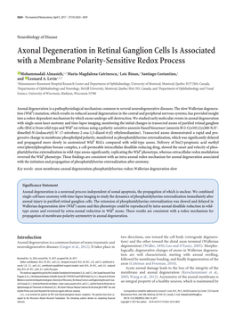 Axonal Degeneration in Retinal Ganglion Cells Is Associated with a Membrane Polarity-Sensitive Redox Process