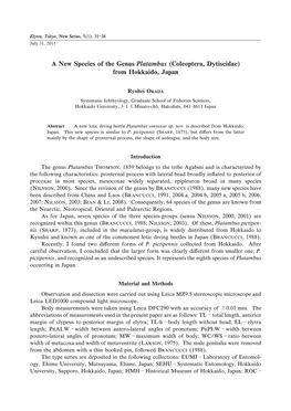 A New Species of the Genus Platambus (Coleoptera, Dytiscidae) from Hokkaido, Japan