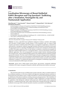 Localisation Microscopy of Breast Epithelial Erbb-2 Receptors and Gap Junctions: Trafficking After -Irradiation, Neuregulin-1, A