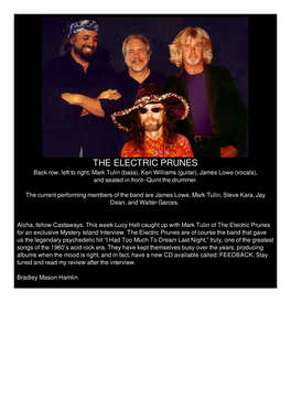 Electric Prunes Interview