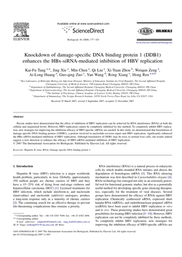 Knockdown of Damage-Specific DNA Binding Protein 1 (DDB1) Enhances
