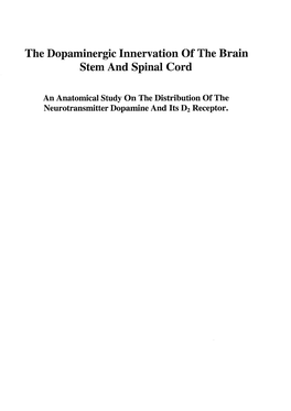 The Dopaminergic Innervation of the Brain Stem and Spinal Cord