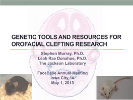 Genetic Tools and Resources for Orofacial Clefting Research