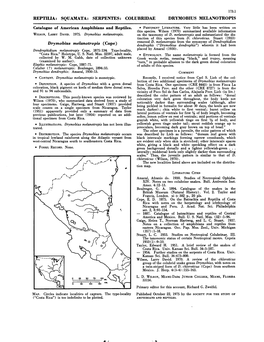 Drymobius Melanotropis (Cope) Dendrophis (