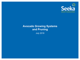 Avocado Growing Systems and Pruning July 2018 the Avocado Tree Characteristics of Hass Trees